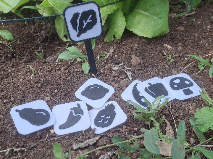 Piquets potager illustrés